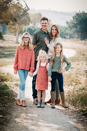2020_11_Hamblin_106