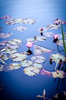 2021_12_FallbrookDirectory_128