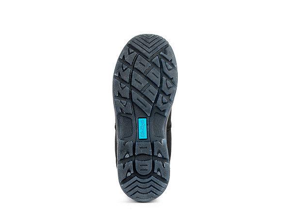 Blue-Tongue-Sole-1