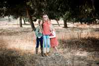 2020_11_Hamblin_267