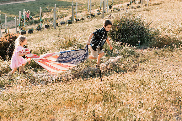2021_03_AmericanFlag_166