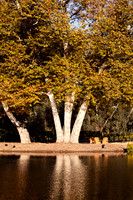 2021_12_FallbrookDirectory_118