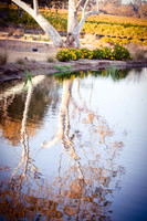 2021_12_FallbrookDirectory_130