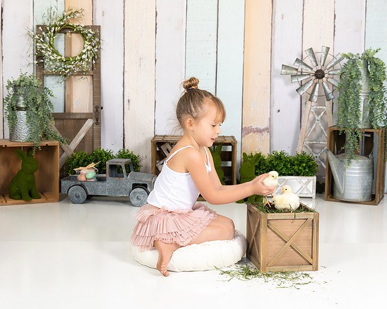 24Sarah Bracci Photographics