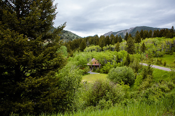 2022_06_Lazybearcabin-023