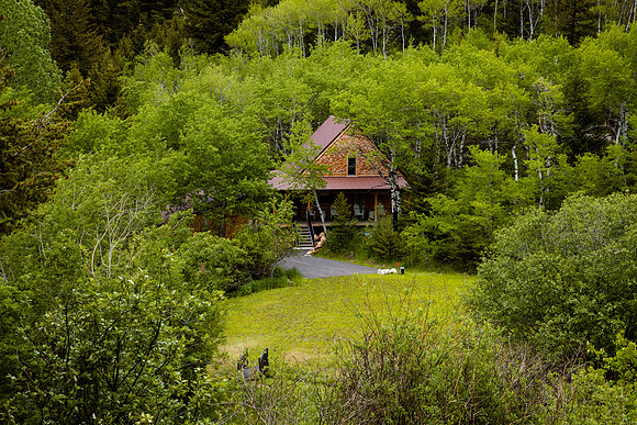 2022_06_Lazybearcabin-025