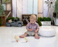 2021_02_Simon_SpringChick_102